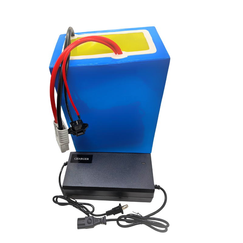 72V 100Ah Li ion Dengan Charge - 72V 40Ah Lifepo4 Battery Pack ulasan dan harga
